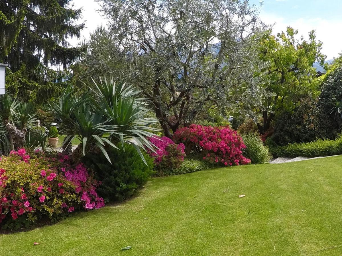 Abies Lago Di Como Dongo Buitenkant foto
