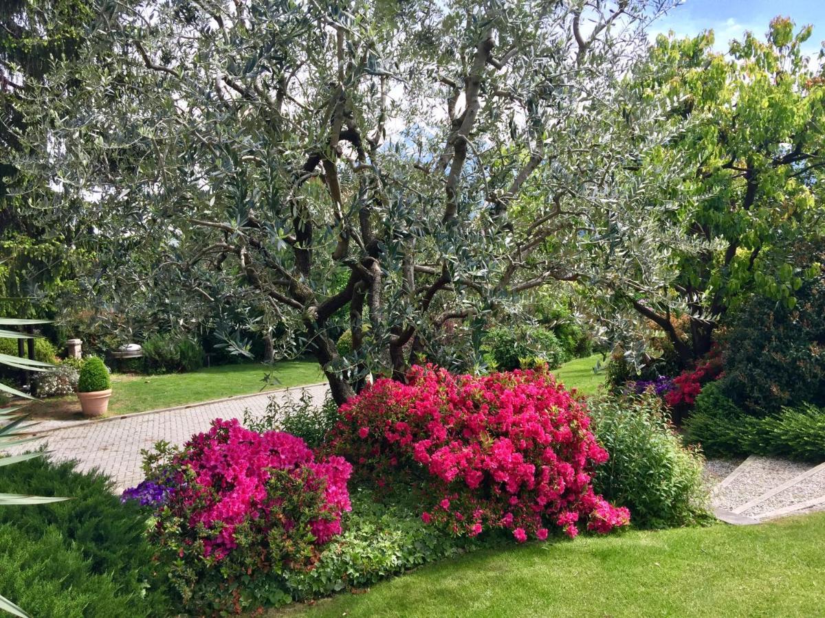 Abies Lago Di Como Dongo Buitenkant foto