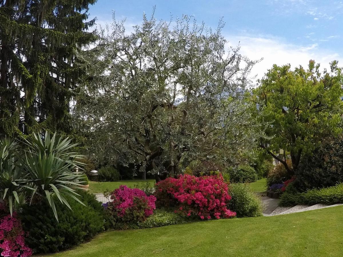 Abies Lago Di Como Dongo Buitenkant foto