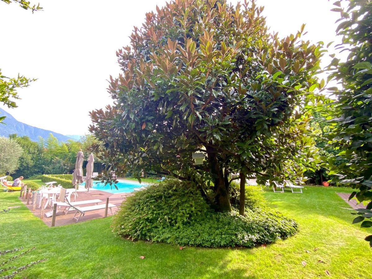 Abies Lago Di Como Dongo Buitenkant foto